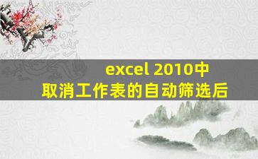 excel 2010中取消工作表的自动筛选后